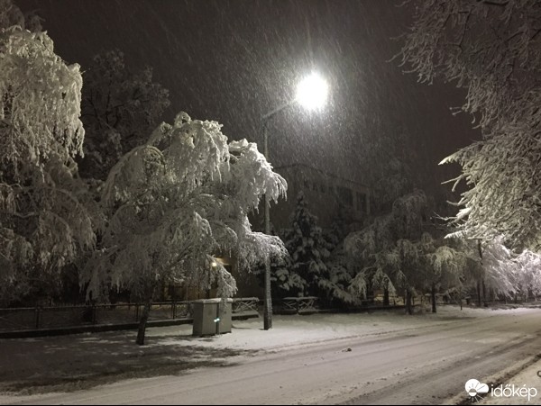 Észlelési fényképek