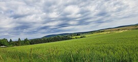 Szentgál