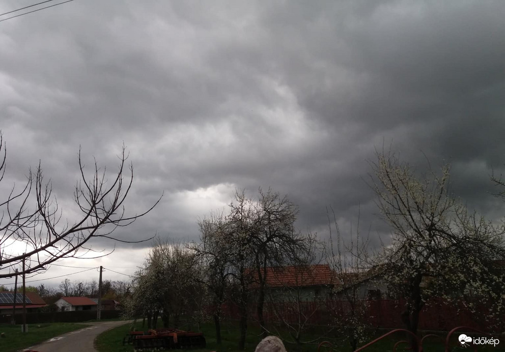 Észlelési fényképek