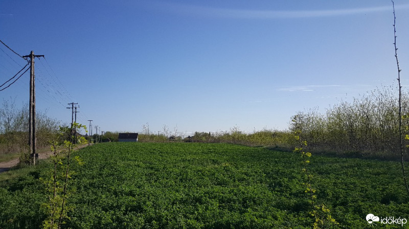 Észlelési fényképek