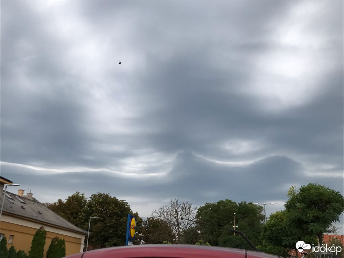 Észlelési fényképek