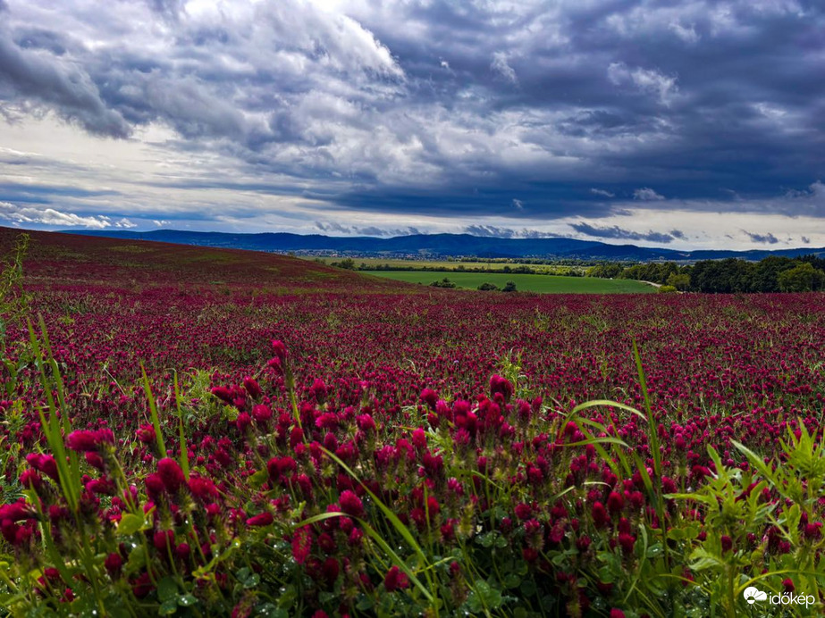 Budapest XVI.ker - Mátyásföld