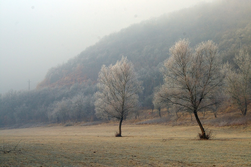 Ipolynál