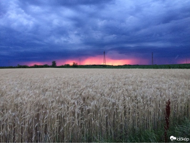 Észlelési fényképek