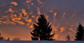 Budapest II.ker - Adyliget