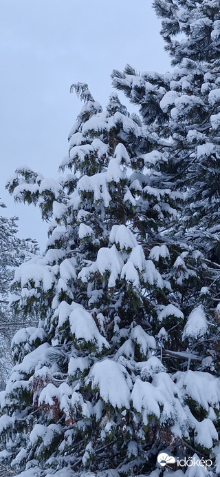 Budapest II.ker - Adyliget