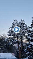 Budapest II.ker - Adyliget