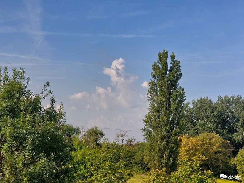 Észlelési fényképek