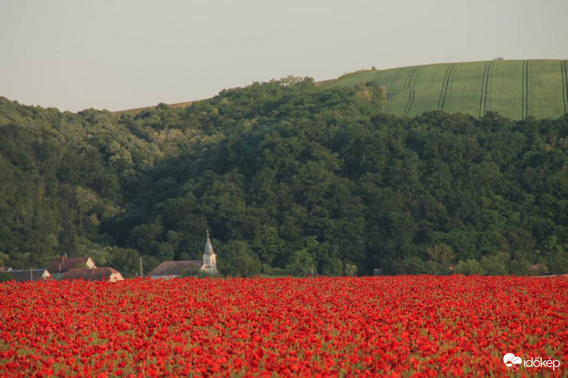 Észlelési fényképek