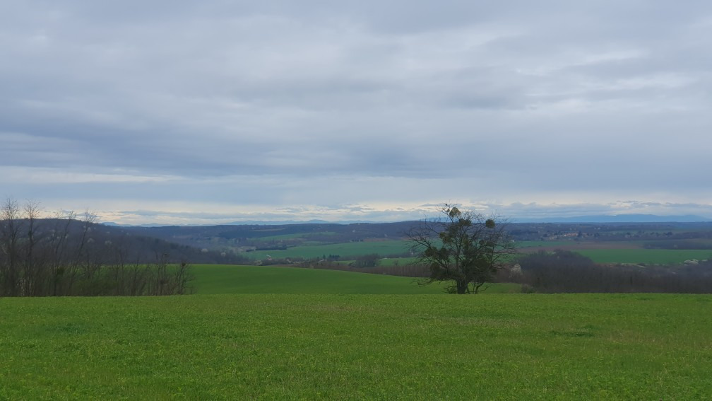 Babosdöbréte