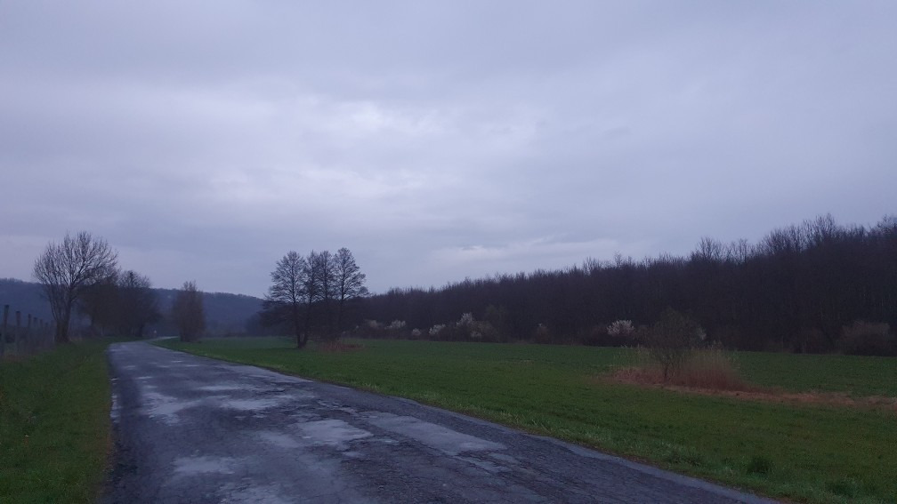 Babosdöbréte