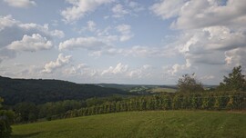 Babosdöbréte