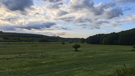 Babosdöbréte