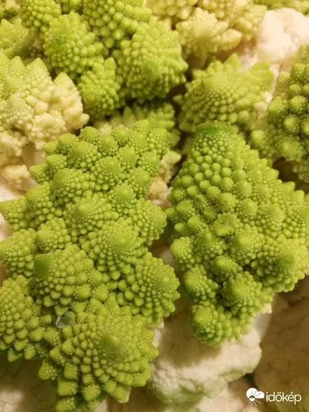 Fraktálok a tálban