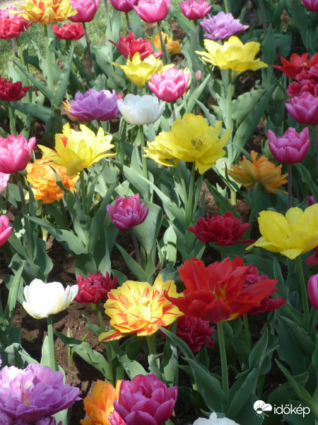 Fényben és árnyékban