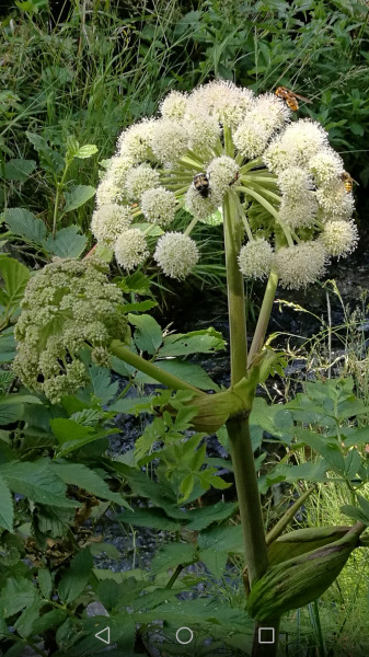 Étterem a vízparton