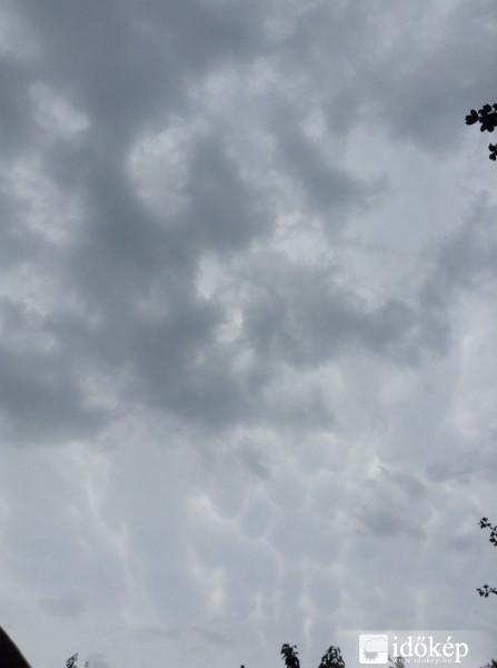 Észlelési fényképek