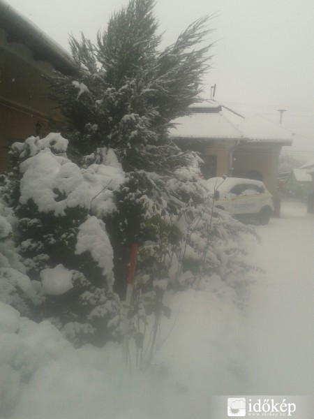 Észlelési fényképek