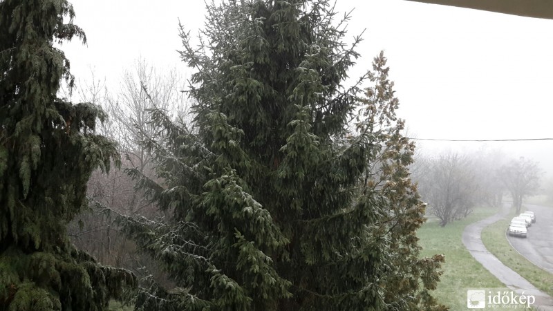 Észlelési fényképek