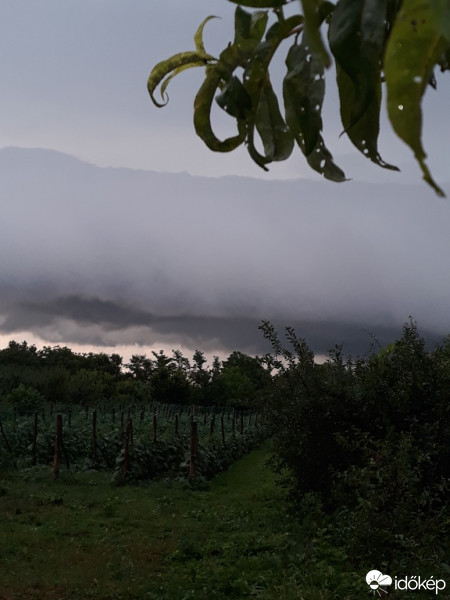 Észlelési fényképek