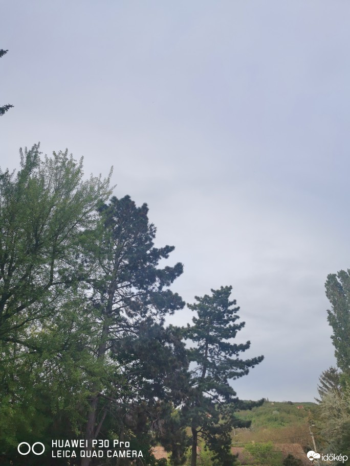 Észlelési fényképek