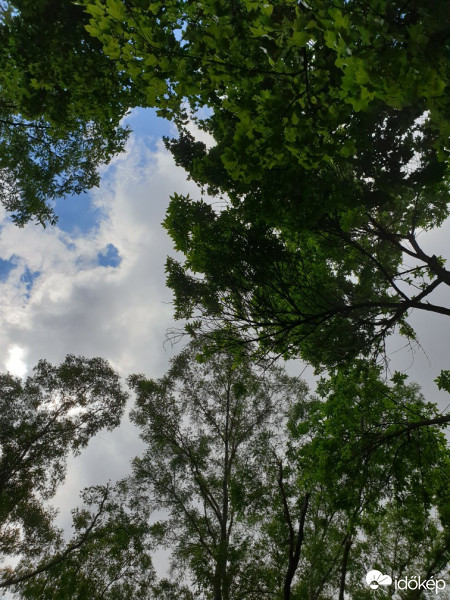 Észlelési fényképek