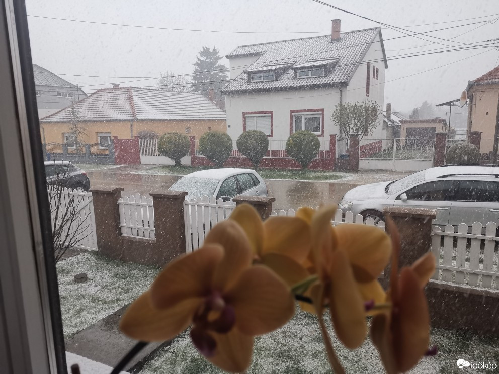 Észlelési fényképek