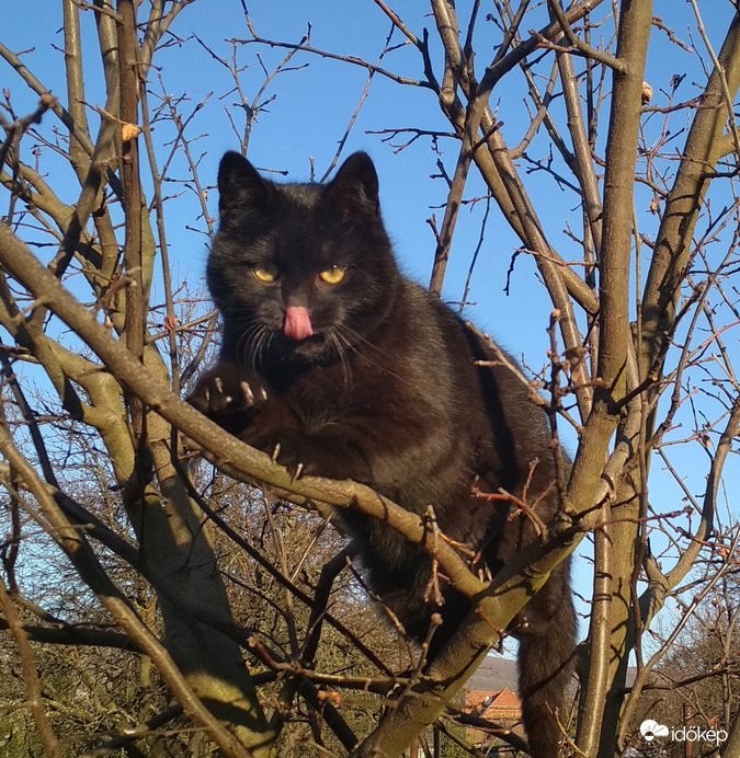 .. valami belement az orromba.. :-/