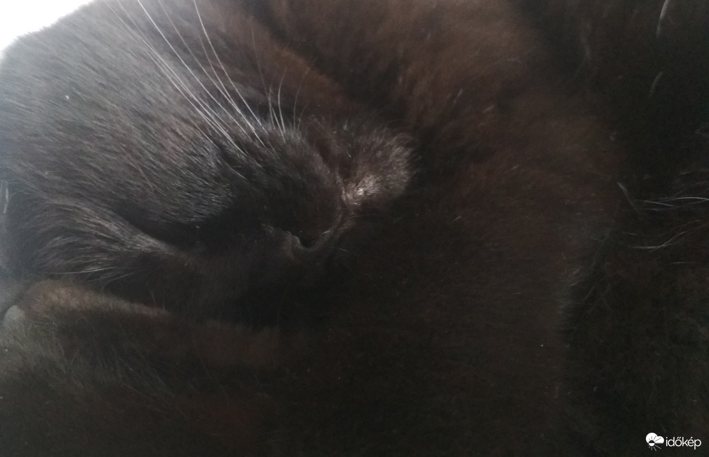 esőben csak aludni érdemes