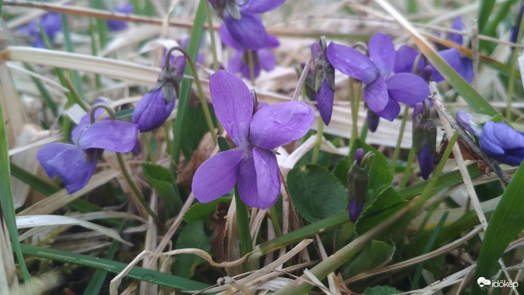 Aki bújt, aki nem, TAVASZ!