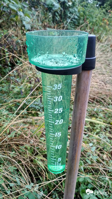 hajnali termés: 40+mm