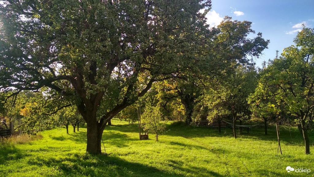 októberi kertem 