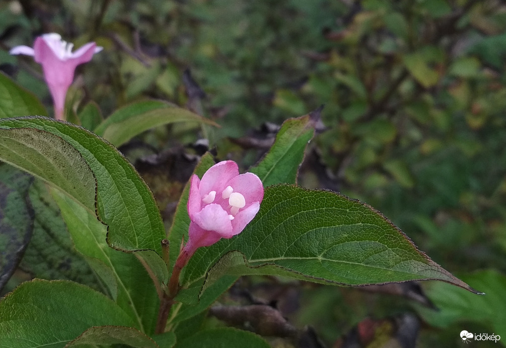 .. milyen november??