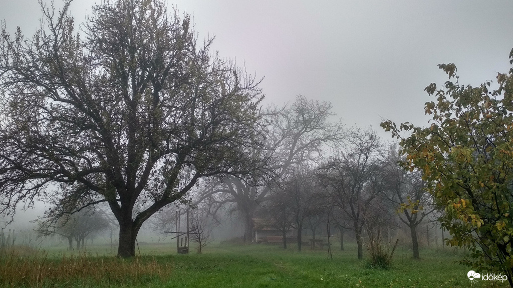 háztáji köd