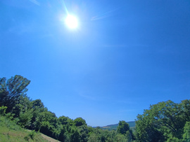 Felsőtárkány