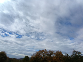 Felsőtárkány