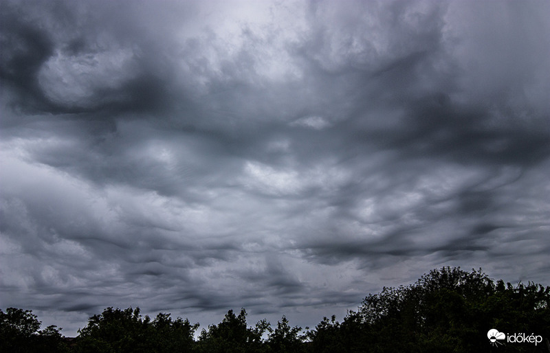 Asperatus