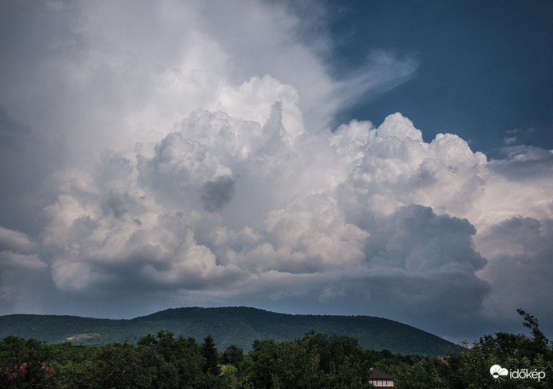 Következő cellánk
