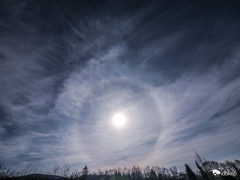 Halokörös délelőtt