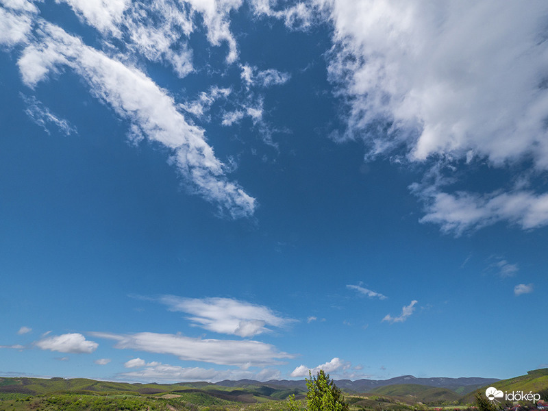 Anyák napjára zöld Bükk