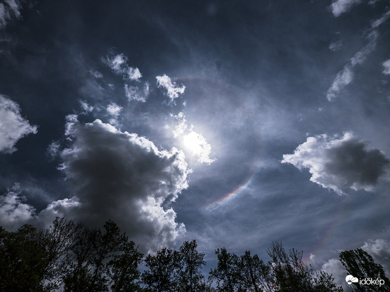 Jó ebédhez halokörök