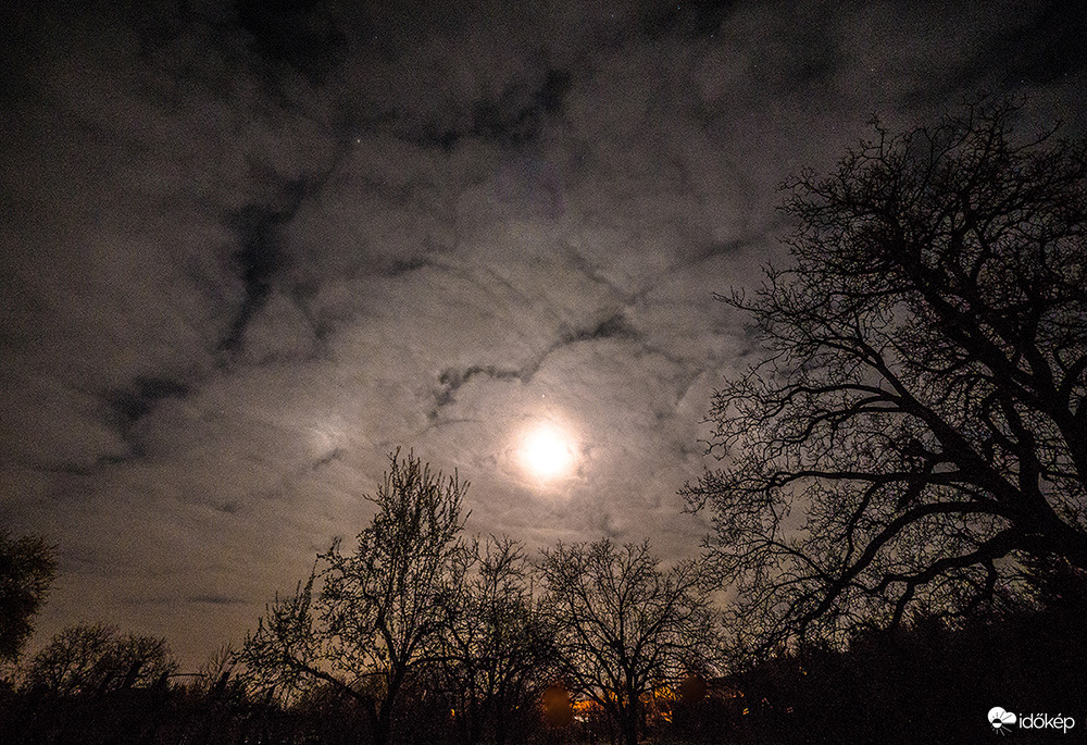 mellékhold, Hold, diófa