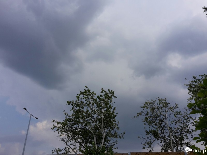 Észlelési fényképek