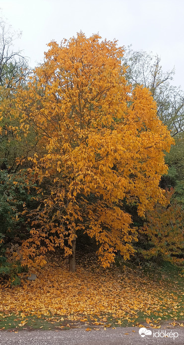 Valkó