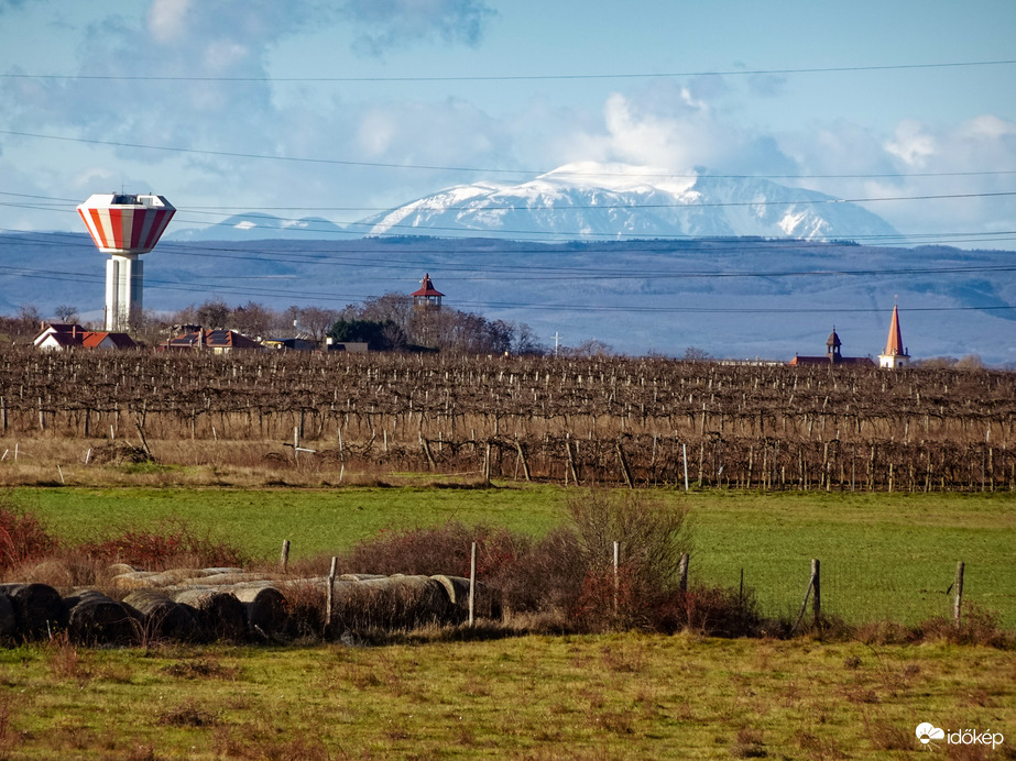 Schneeberg 