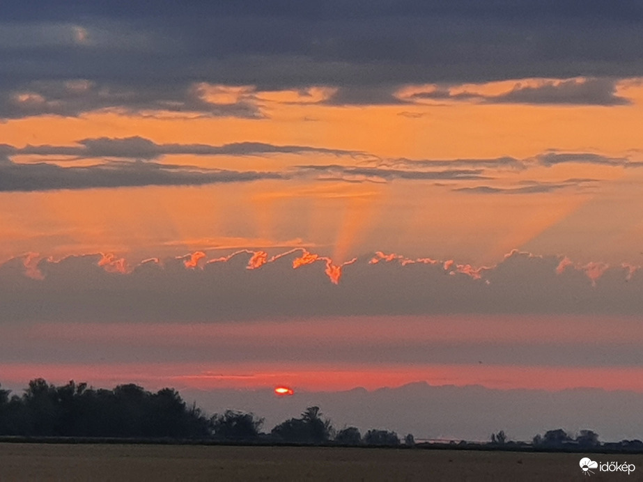 Búzamezőn ért ma a naplemente...