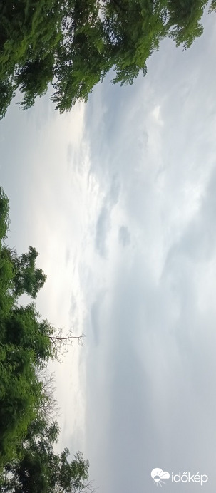 Apc