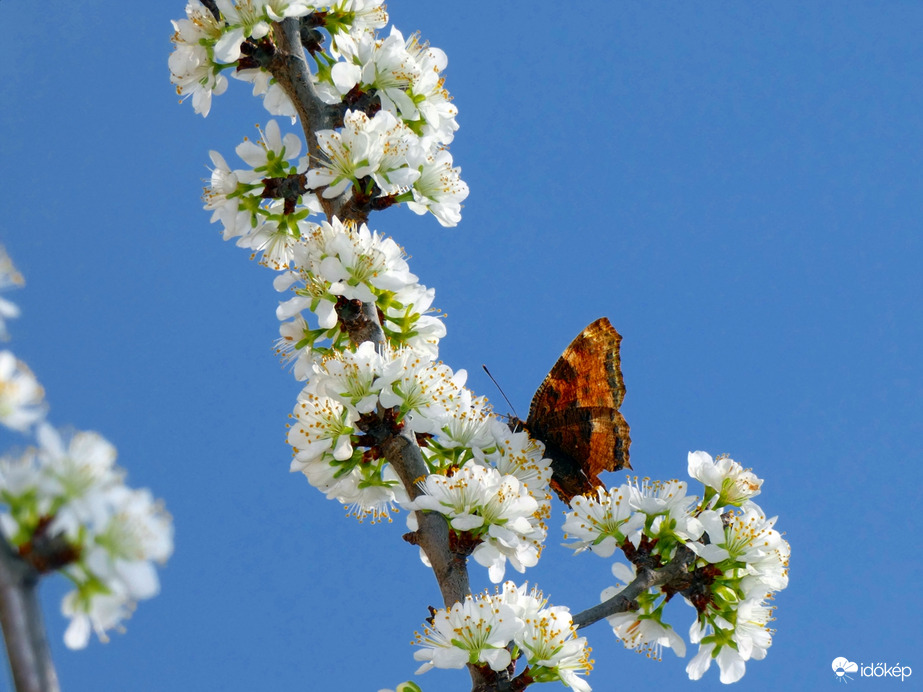 Beindult a meló :) 1.