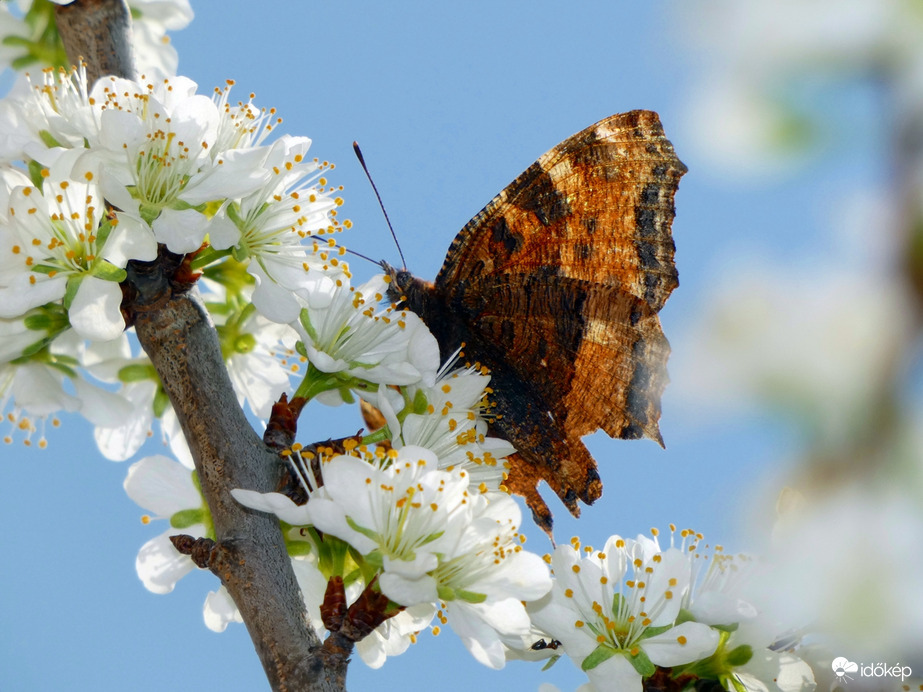 Beindult a meló :) 2.