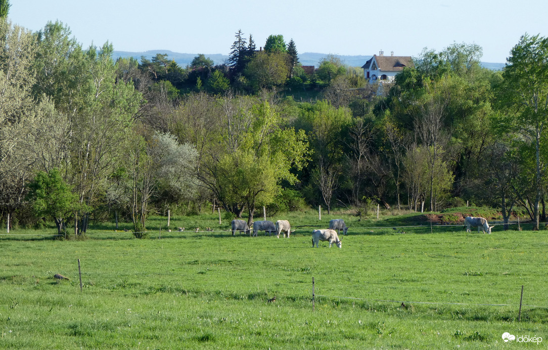 Balatonfüred - Csopak
